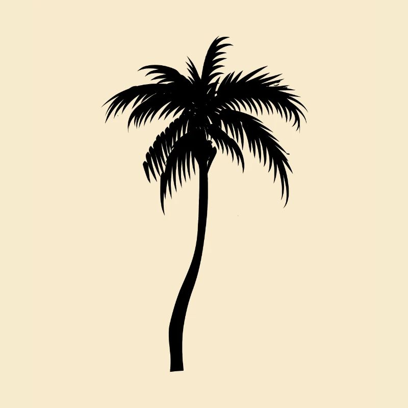 Palme Palm