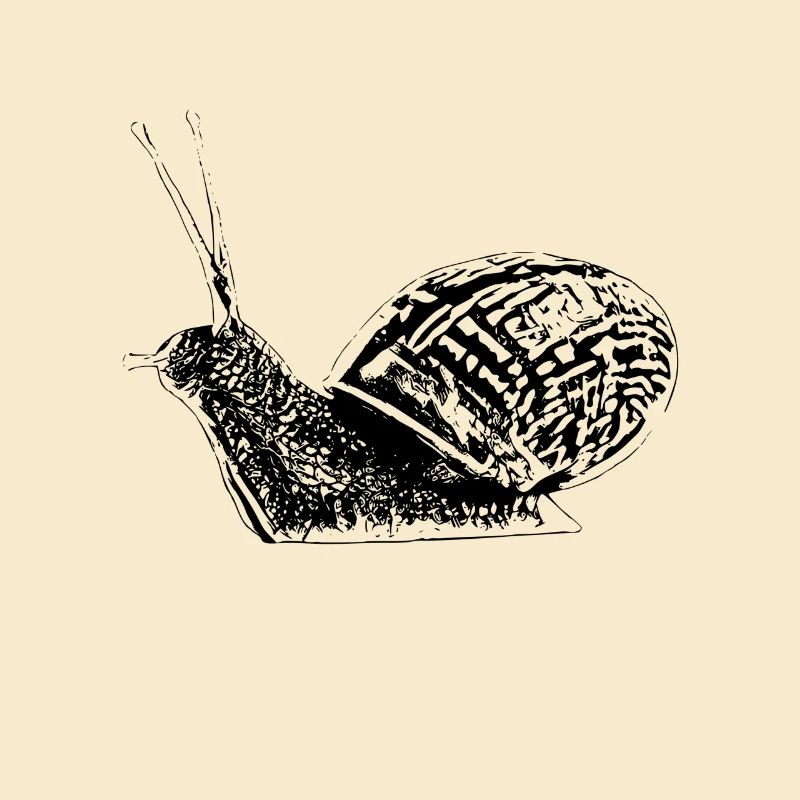 Schnecke