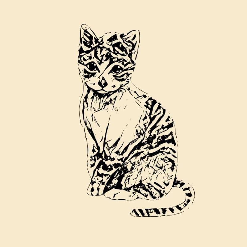 chat