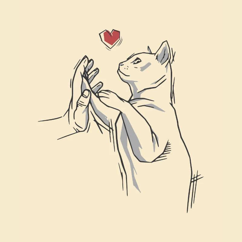 Katze Katze