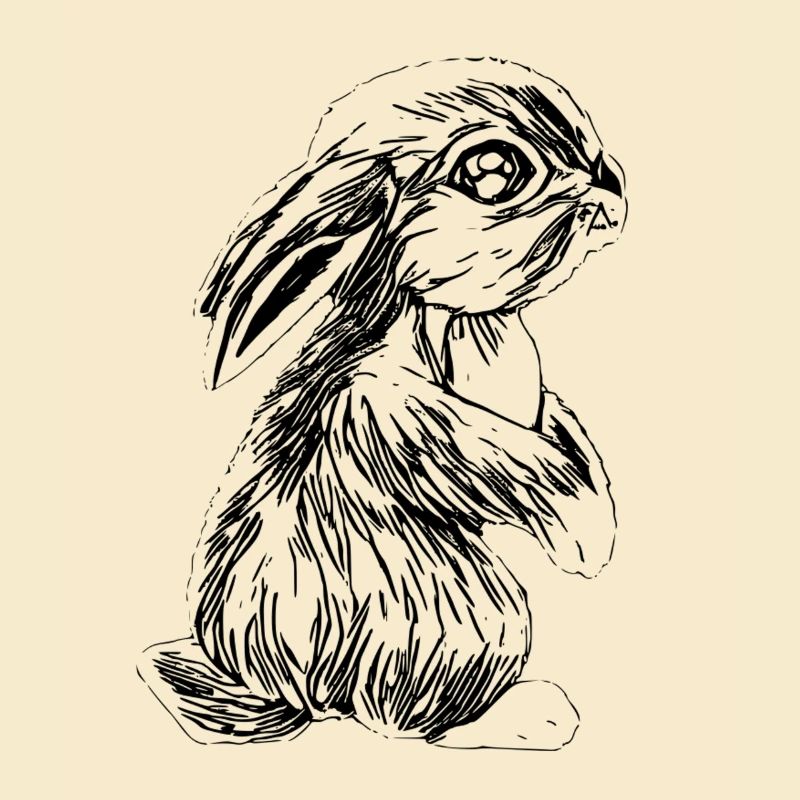 Rabbit