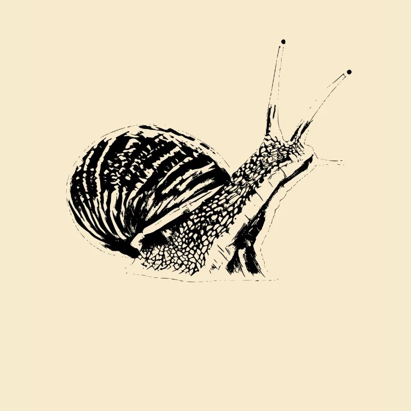 Schnecke