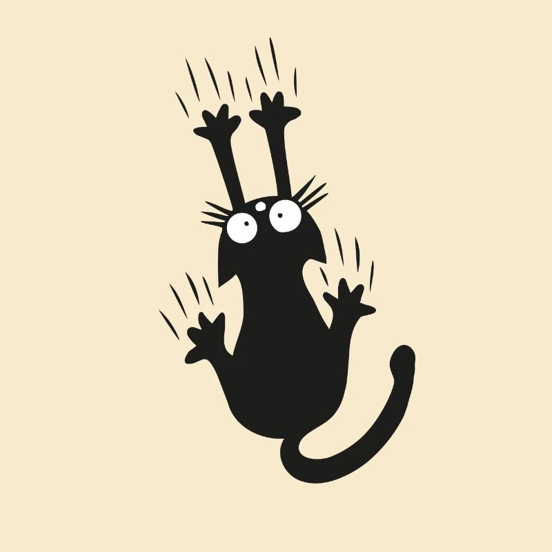 Schwarze Katze Kätzchen Katzenfan