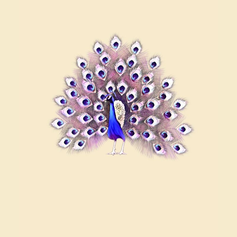 Pfau