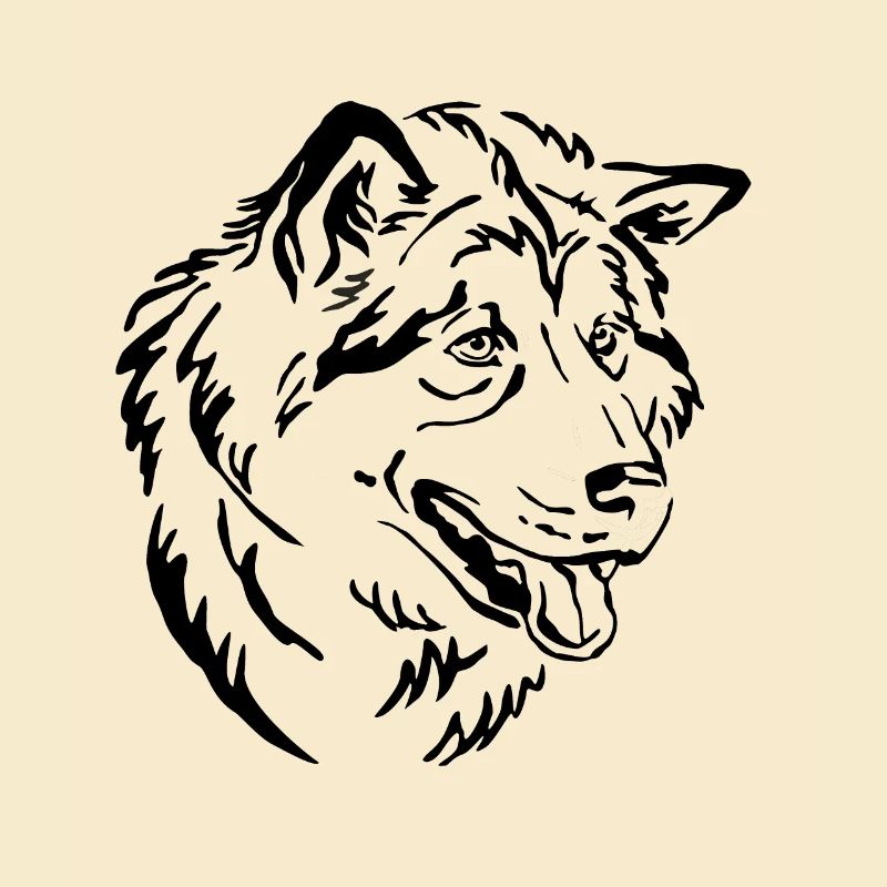Alaskan Malamute
