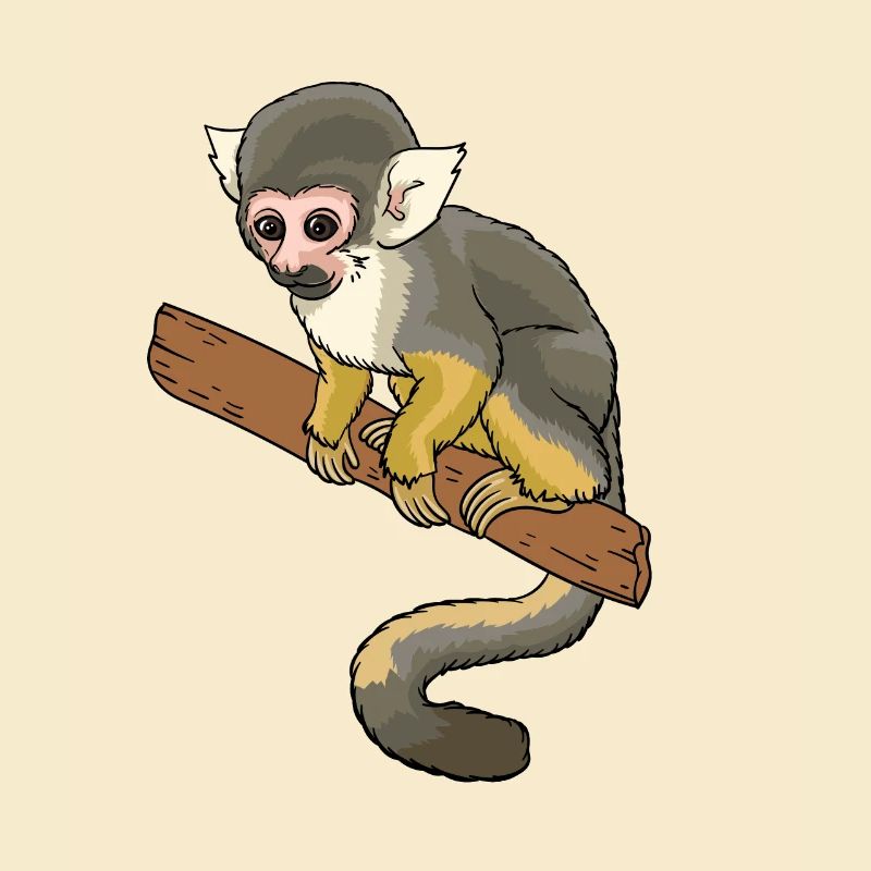 Squirrel monkey squirrel monkey primate