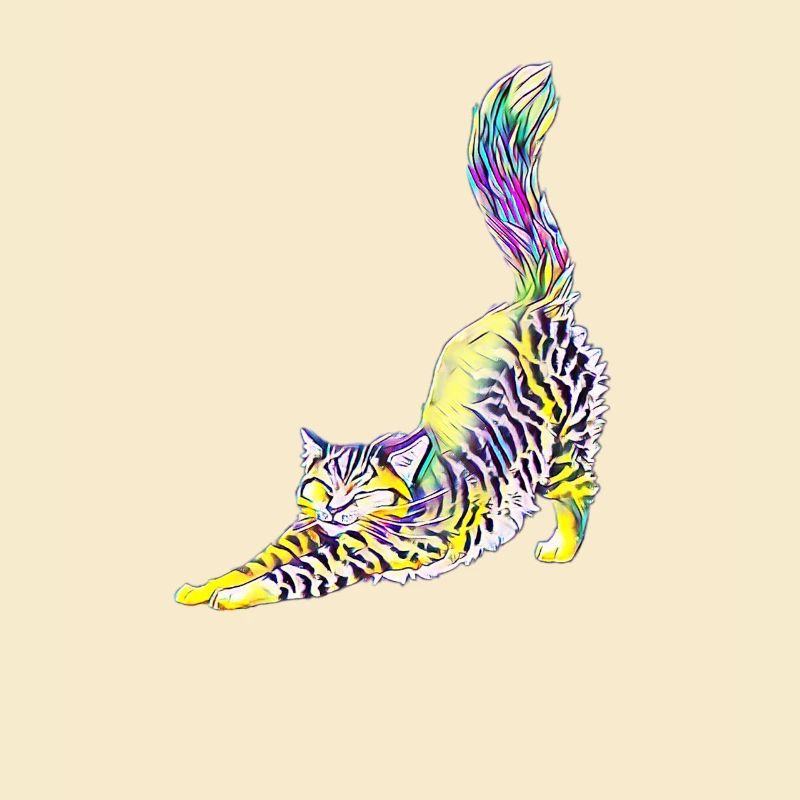 Katze