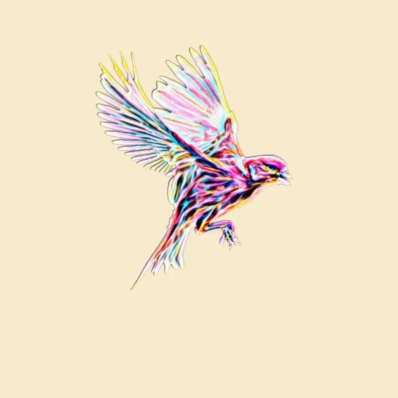 Vogel
