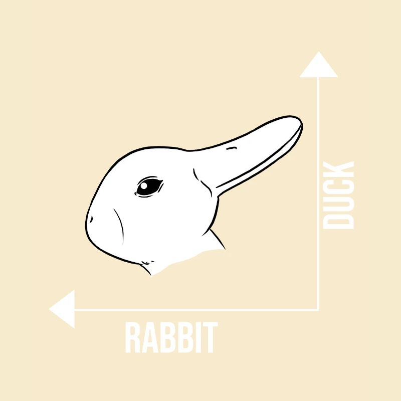 Illusion d'optique lapin canard illusion