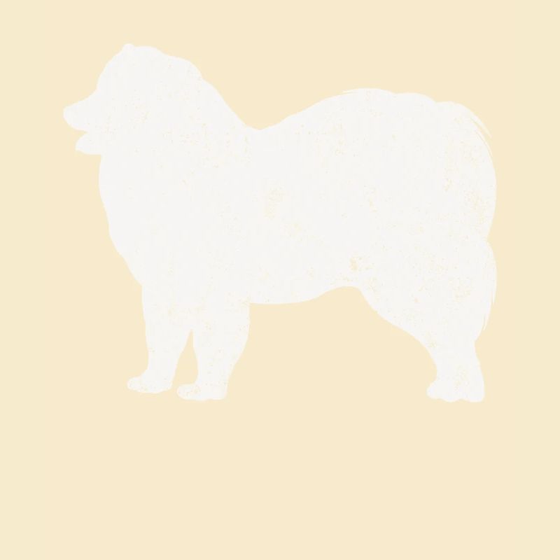 Samoyed Samoyed propriétaire de chien