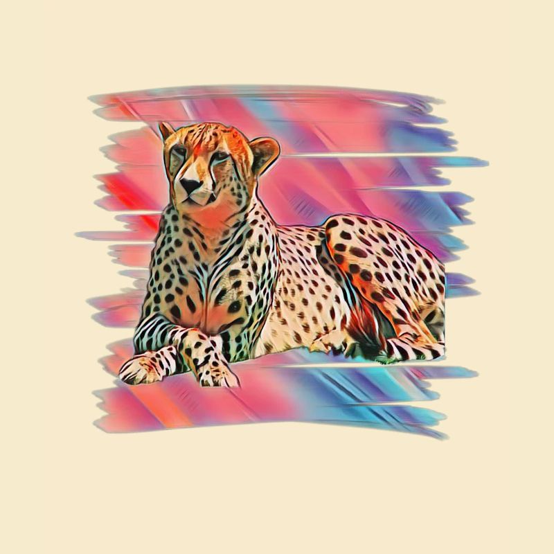 Gepard