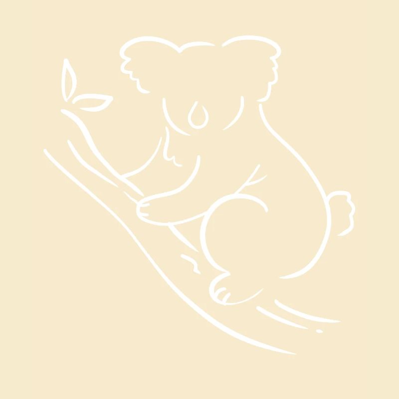 Koala Australien Australier