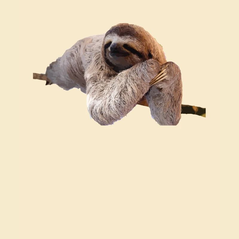 Sloth Sloth Gift Idea