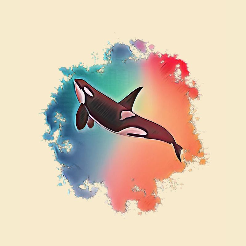 Orca