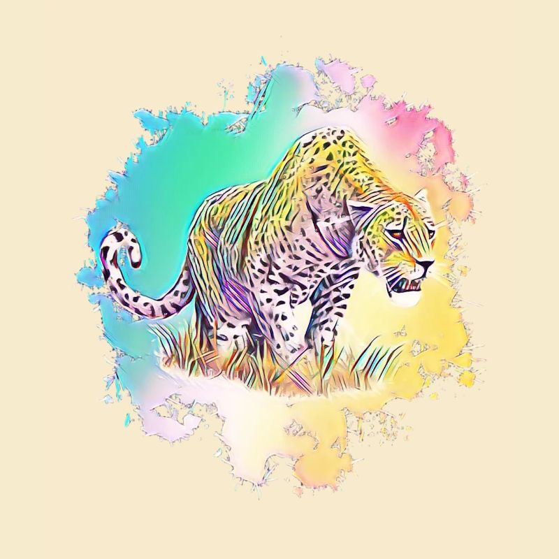 Leopard