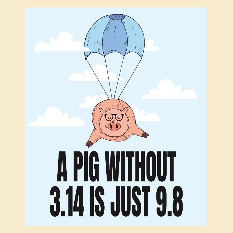 A Pig without 3.14 - Pi Geschenk Idee