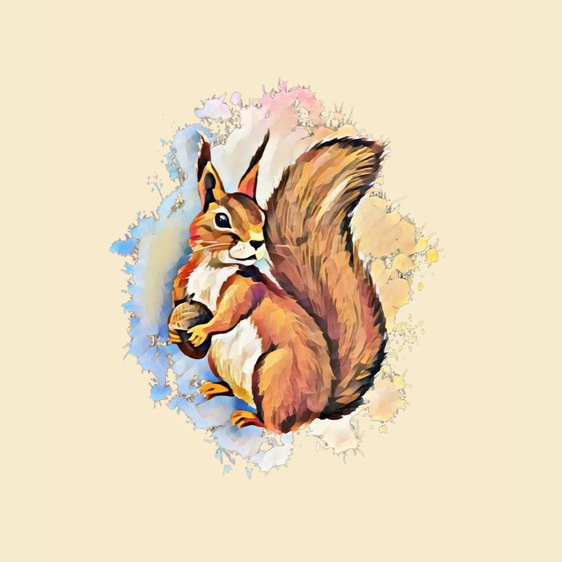 Eichhörnchen