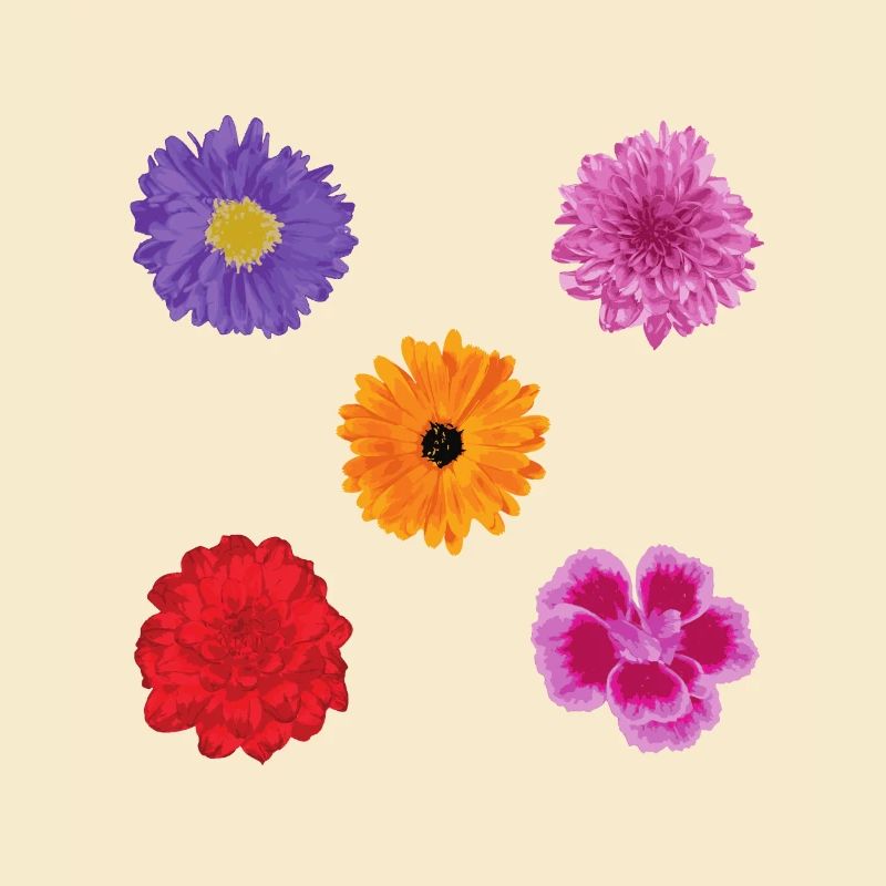 Ensemble de motifs de fleurs