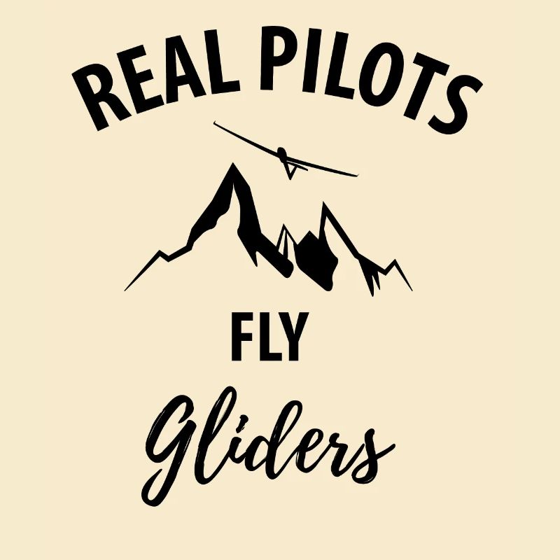 Glider gliding glider pilot pilot