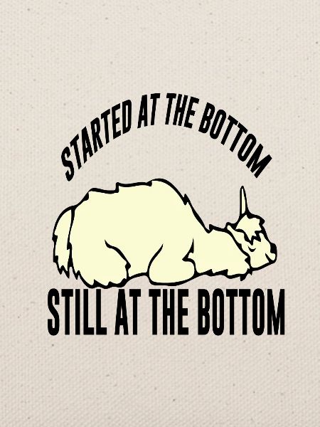 Llama