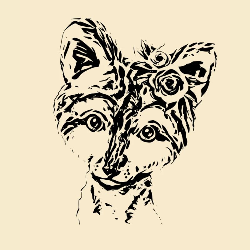 Fuchs
