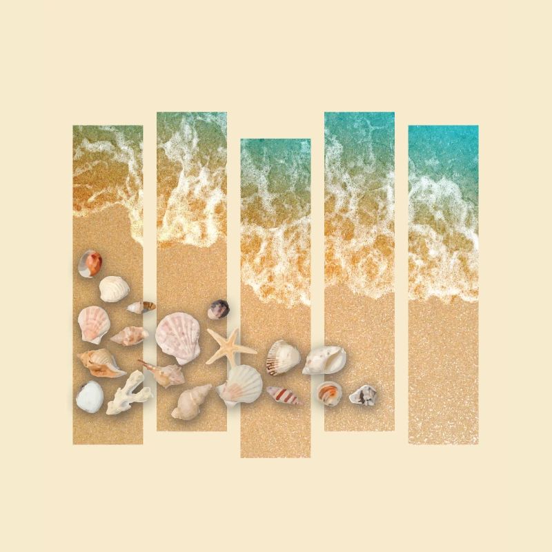 Muscheln am Strand