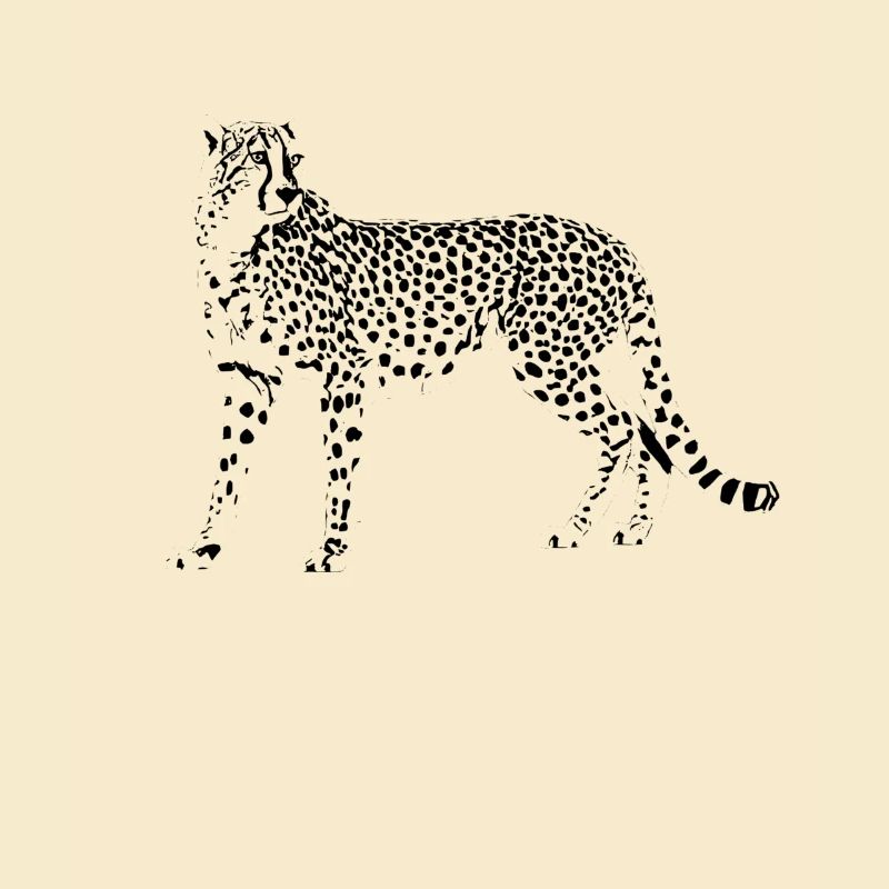 guépard