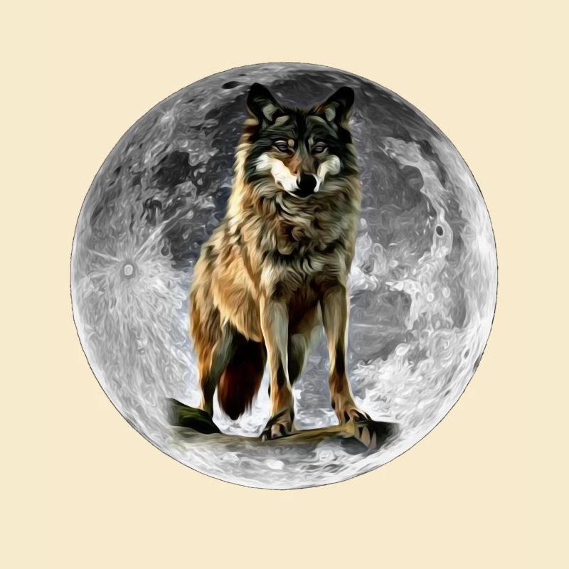 wolf
