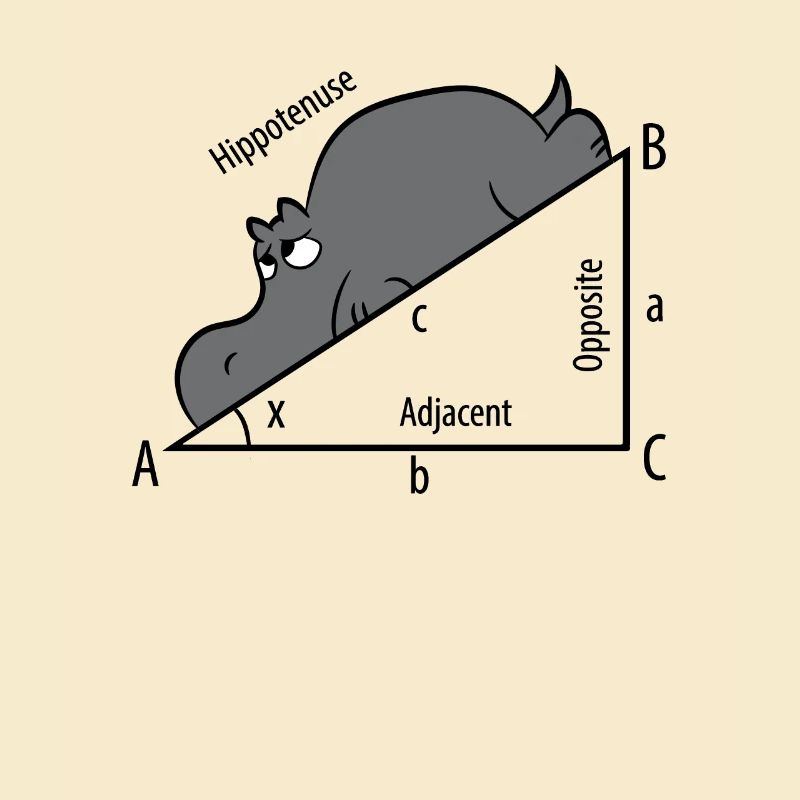Mathe Pythagoras Hypothenuse Nilpferd Hippo
