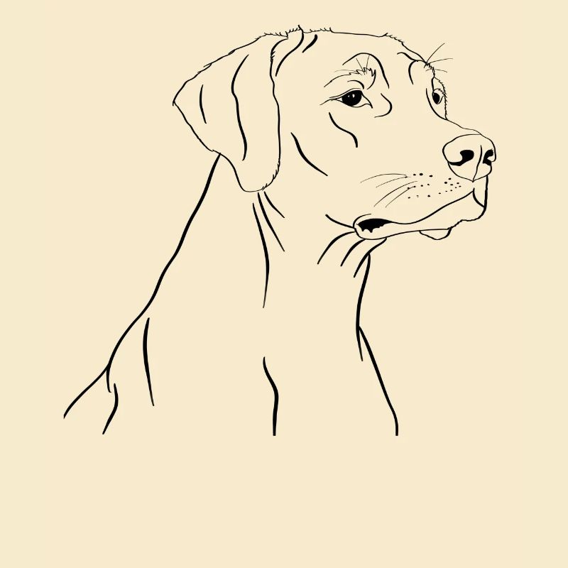 Rhodesian Ridgeback drawing