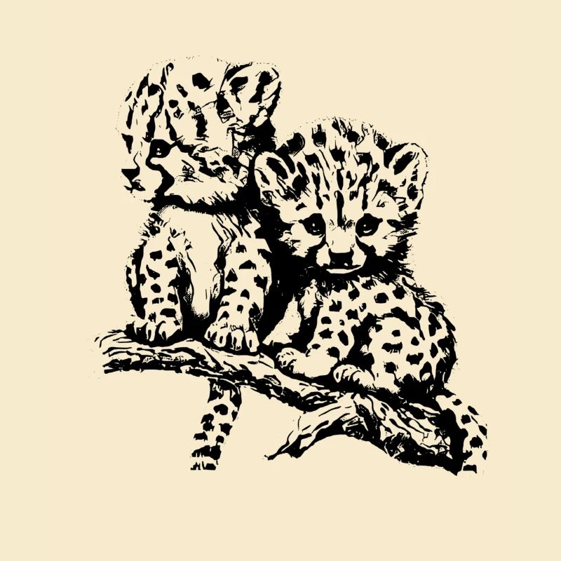 cheetah