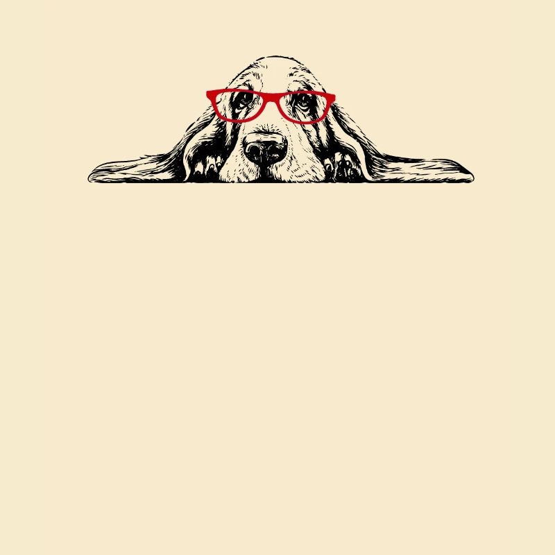 Basset Hound