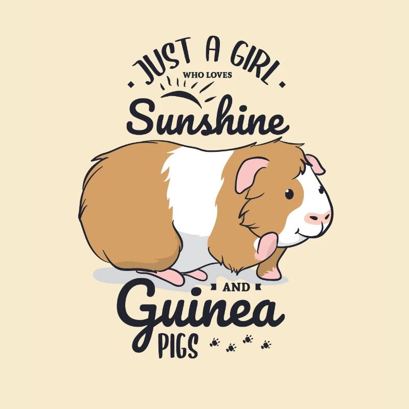 Cochon d'Inde soleil et cochons d'Inde