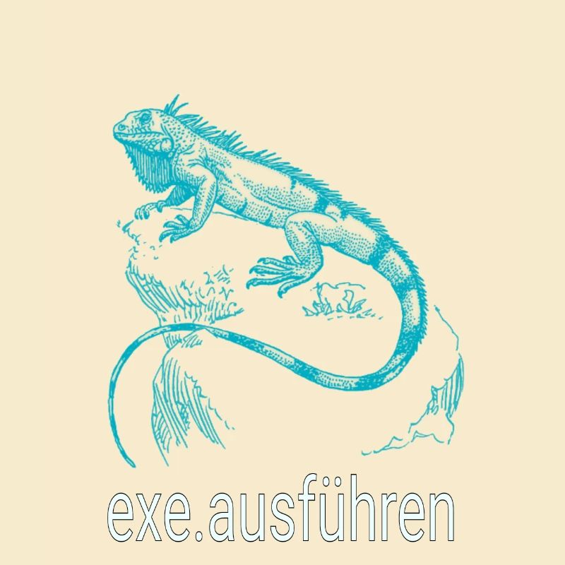 Admin Computer Informatiker exe ausführen blau