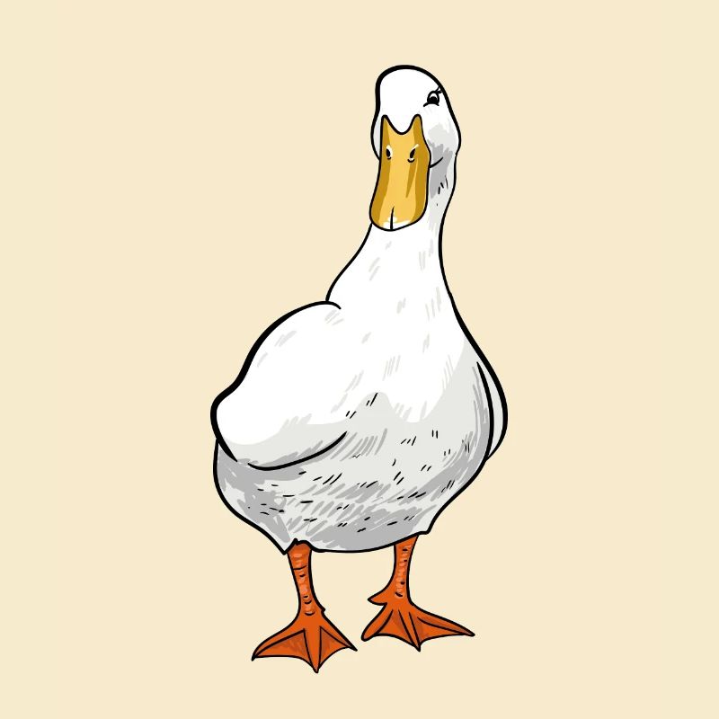 Ente