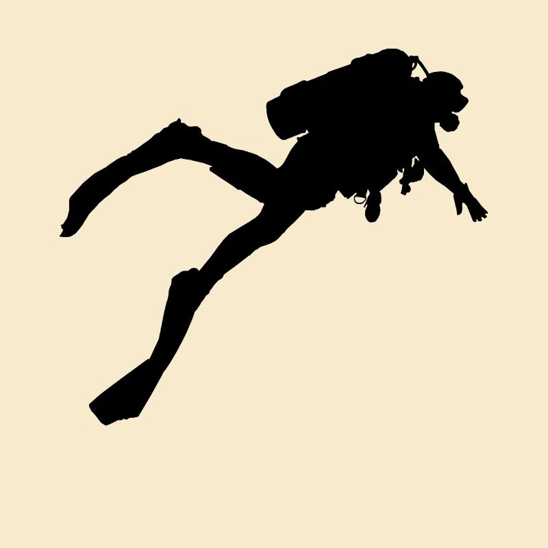 Plongée Plongée Dive Apnée