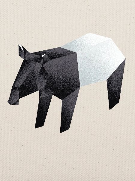 Tapir