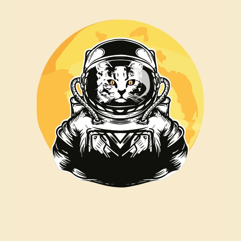 Chat astronaute, catronaute, chat dans l'espace