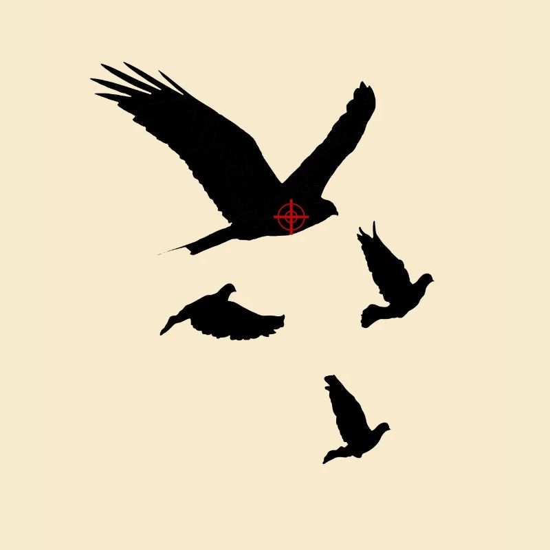 hawk vs pigeons
