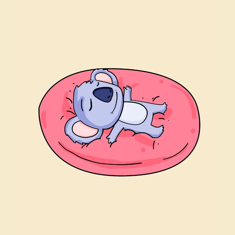 Koala bear