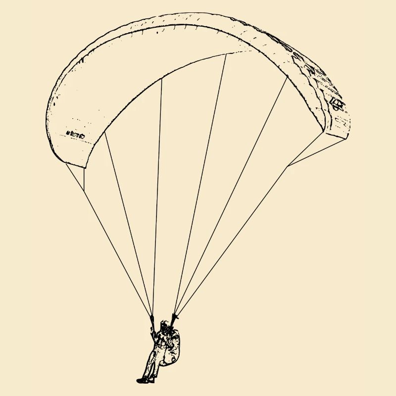 Paraglider