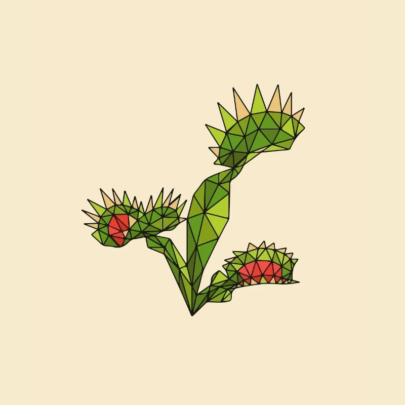 Carnivorous Plants Venus Flytrap