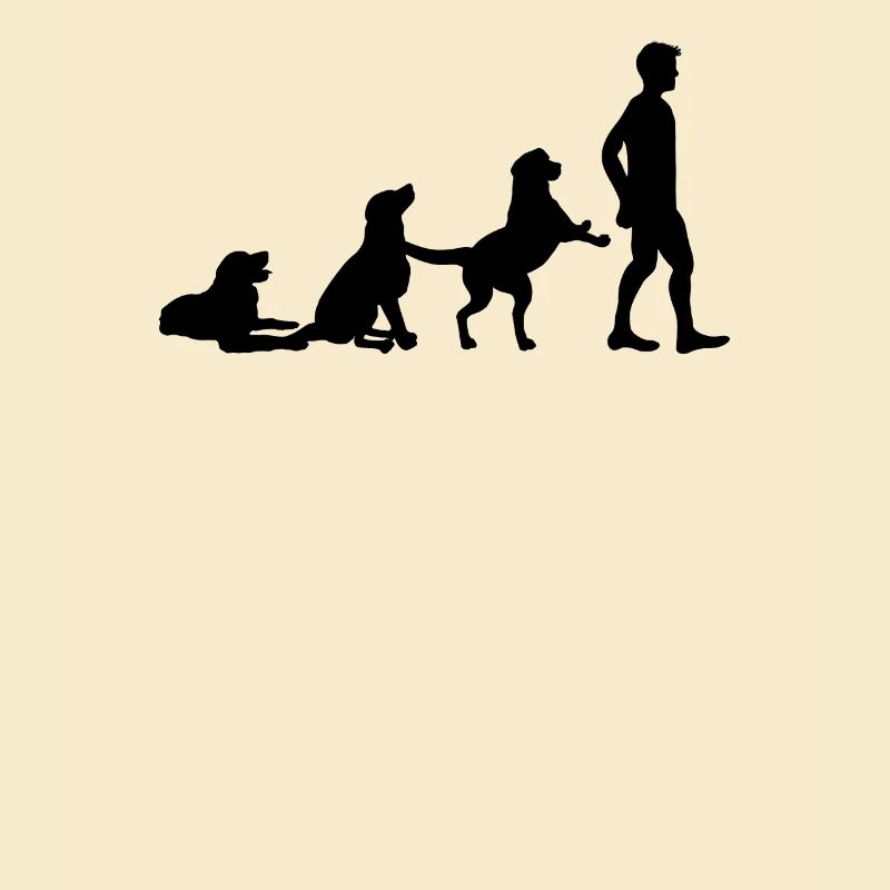 Dog evolution dogs walk development human