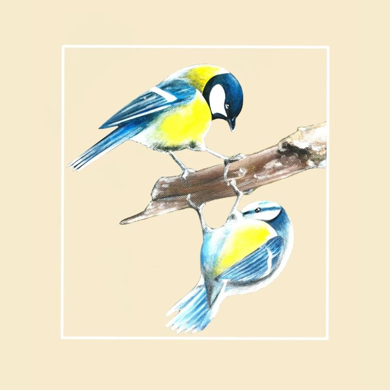 Birds