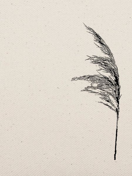 Halm im Wind