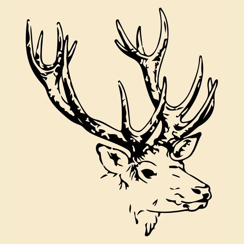 hirsch