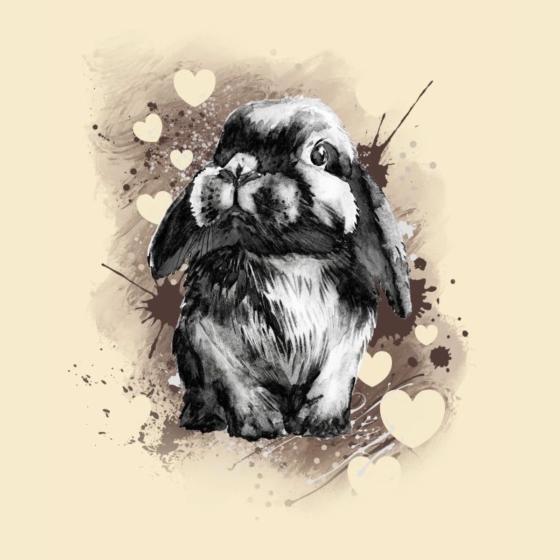 Rabbit