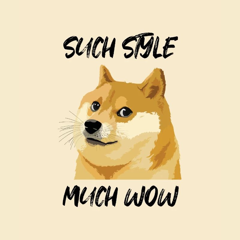 Concern Doge Meme Recherche Style Much Wow
