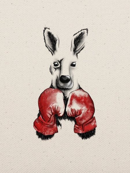 Känguru mit Boxhandschuhen