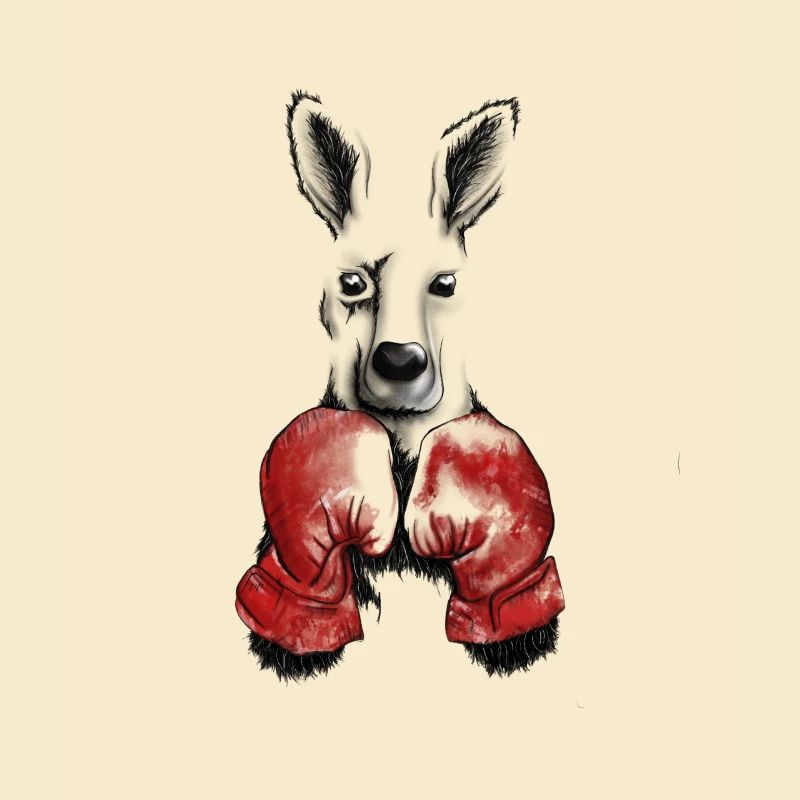Känguru mit Boxhandschuhen